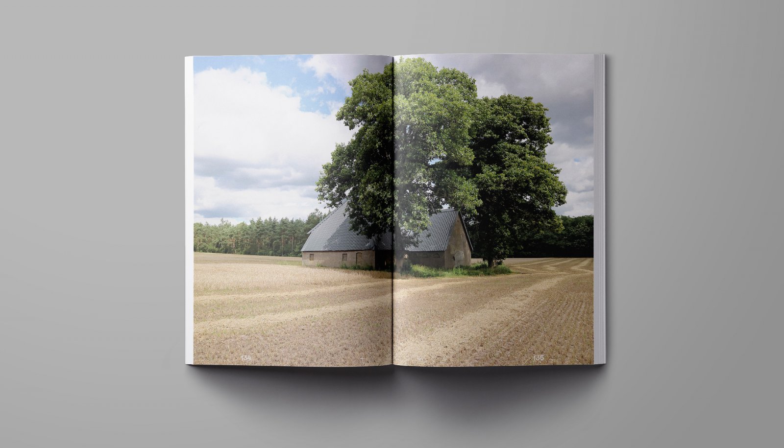 verborgen-landschap-boek-spread-E