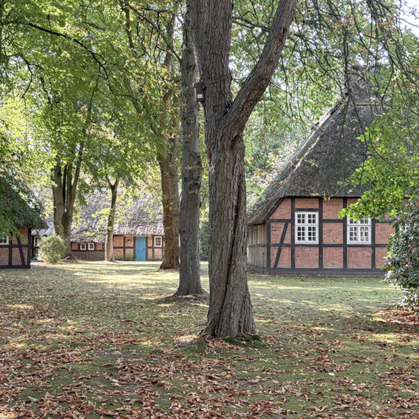 stedingehre is a fake village contracten as a decor for Germanic festivals